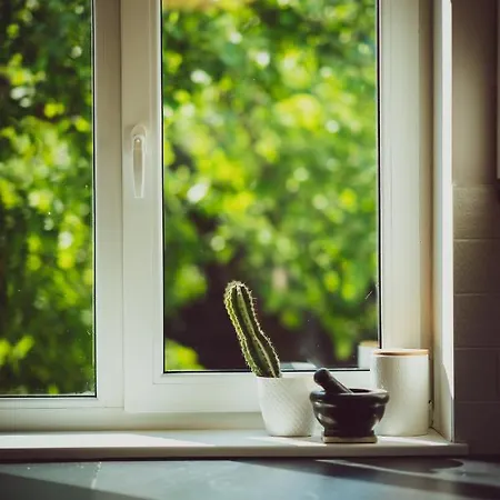 Lavender House * 쿠레사아레