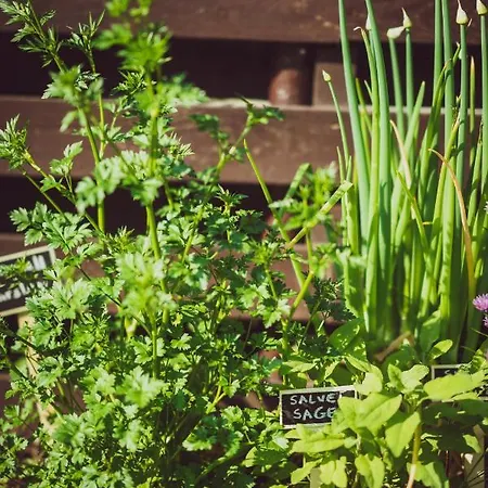 Lavender House Feriehus *