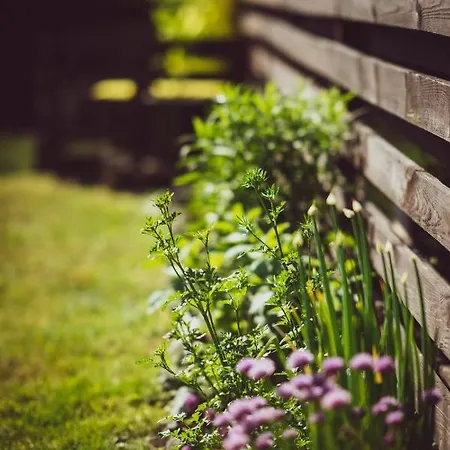 Lavender House